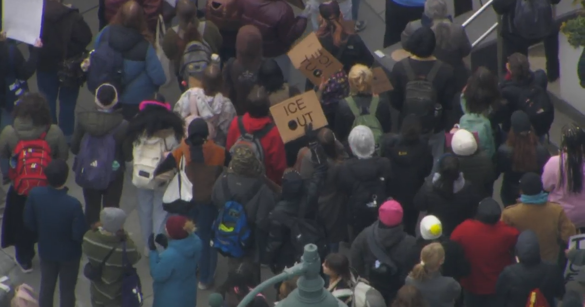 Local businesses, protestors join nationwide strike against immigration crackdown policies