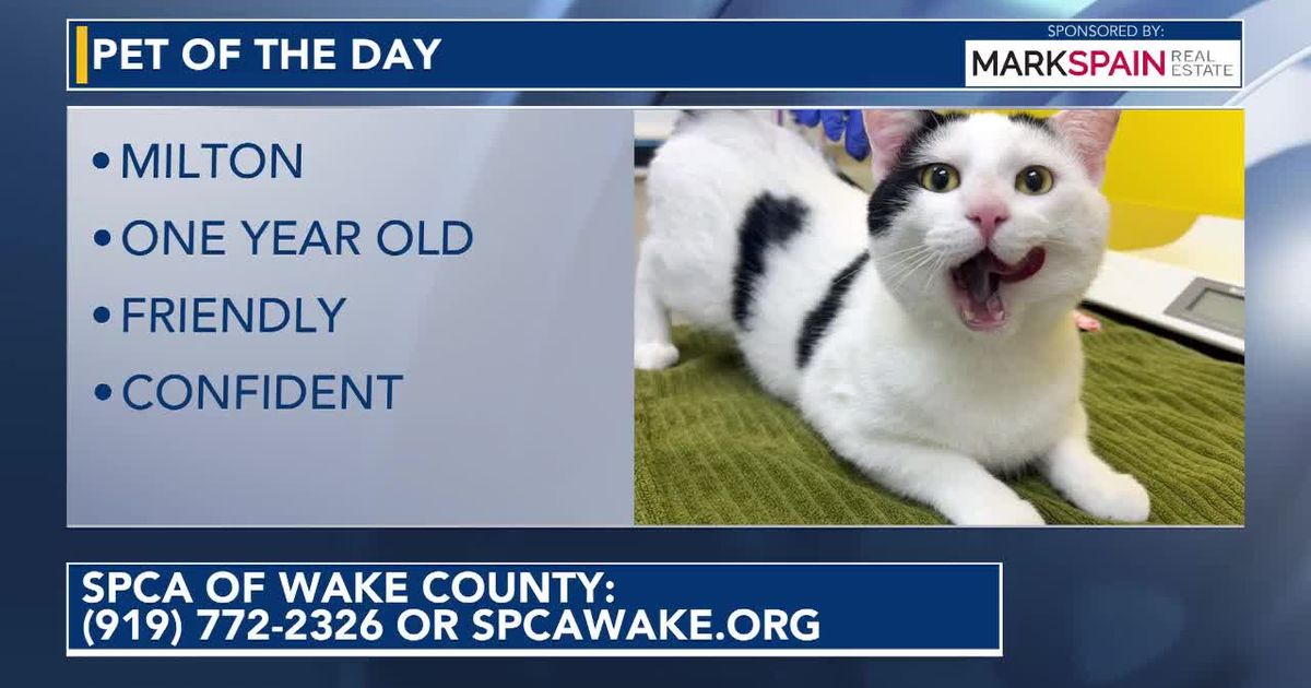 Pet of the day for August 13, 2026