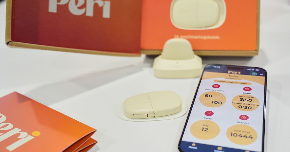 Dose of uncertainty: Experts wary of AI health gadgets at CES