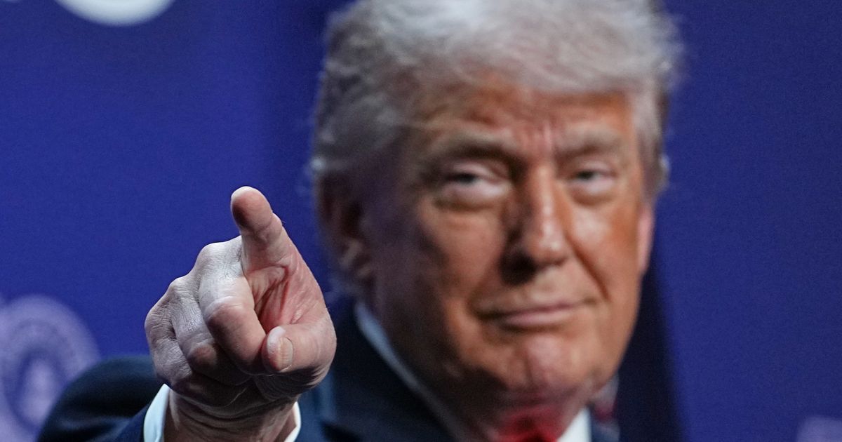 Trump likes the idea of the government owning some US companies but took a pass on Spirit Airlines