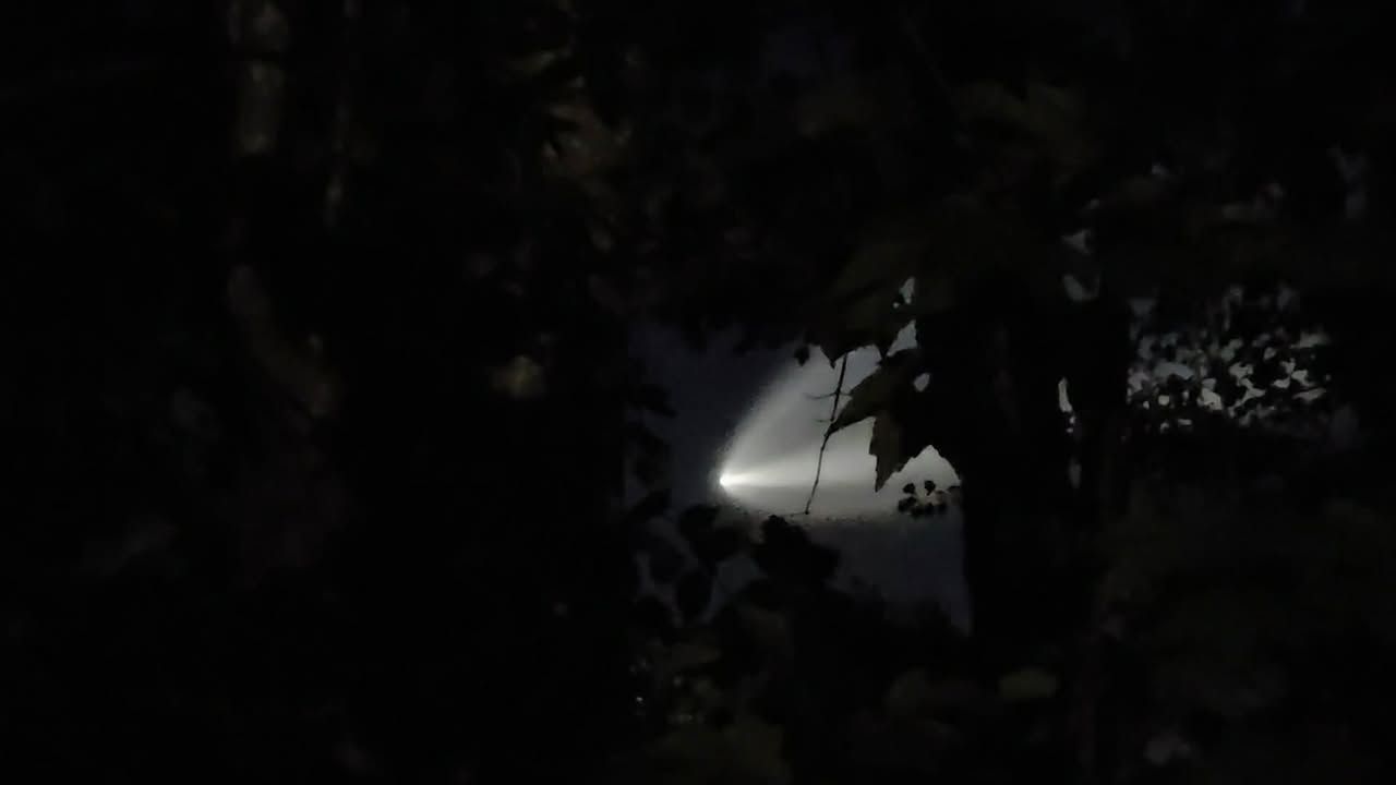 SpaceX Starlink launch visible in NC skies Tuesday morning