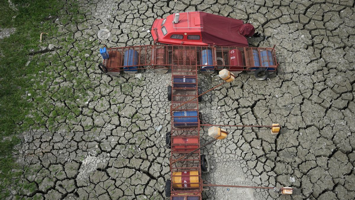wral.com - MARKO DROBNJAKOVIC and JOVANA GEC — Associated Press - Europe's summer drought threatens fish in rivers, lakes and farms