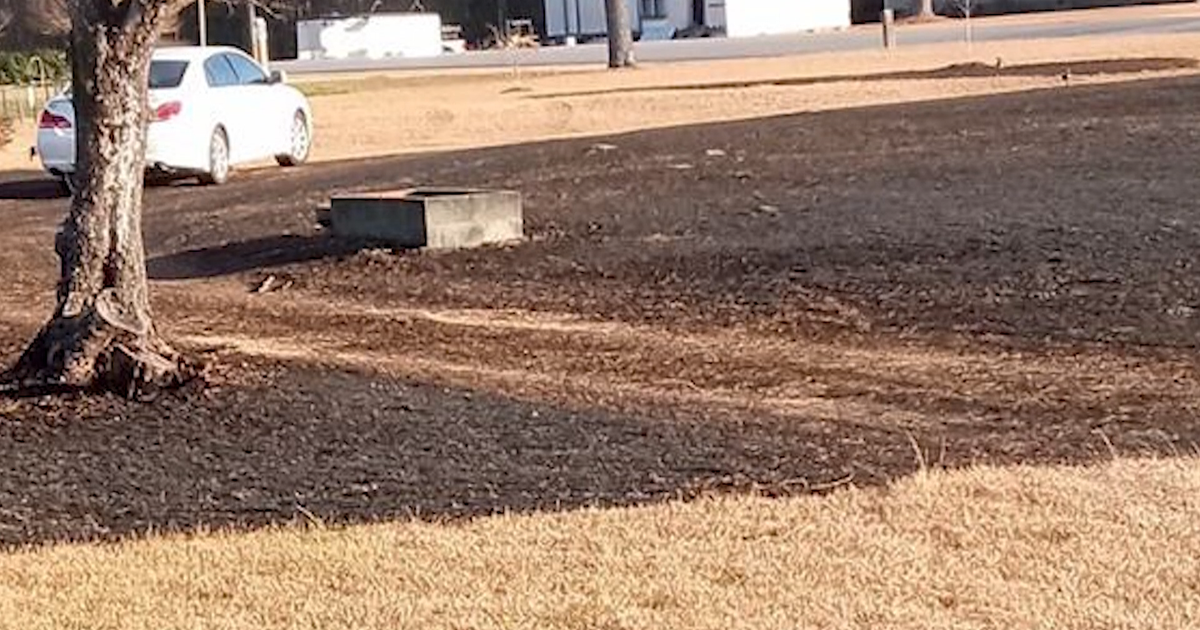 'It just went crazy:' Dropped cigarette causes lawn-devouring grass fire in Four Oaks