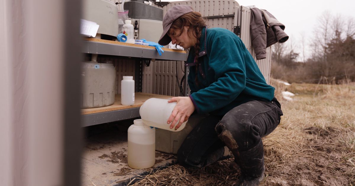 Warming winters lead to more nitrate pollution in the drinking water near farms