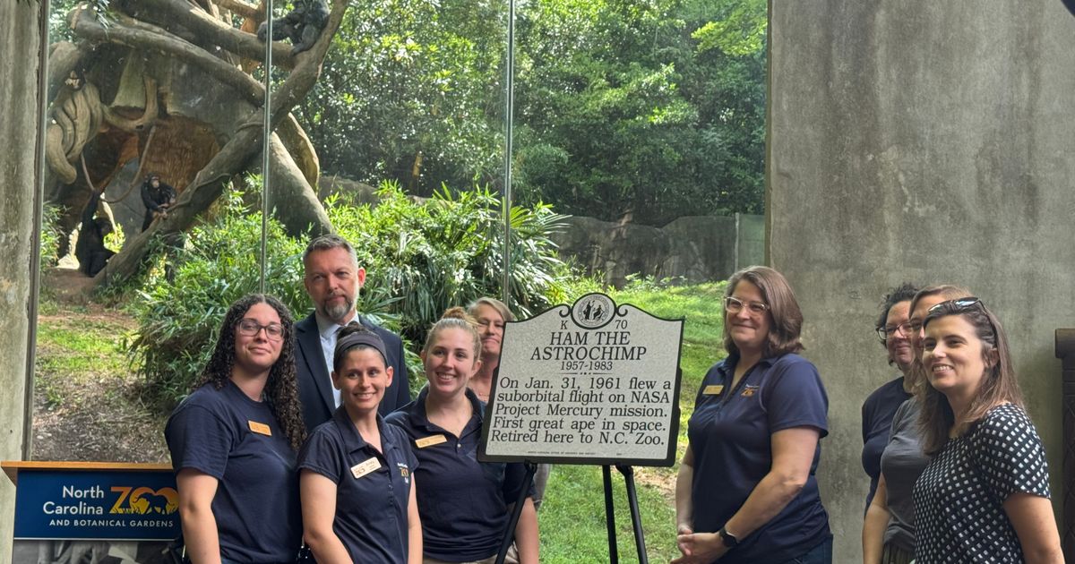 NC Zoo historic marker honors Astrochinp Ham