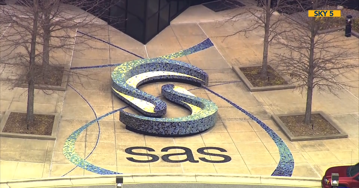 SAS eliminates hundreds of positions across the company, spokesperson says
