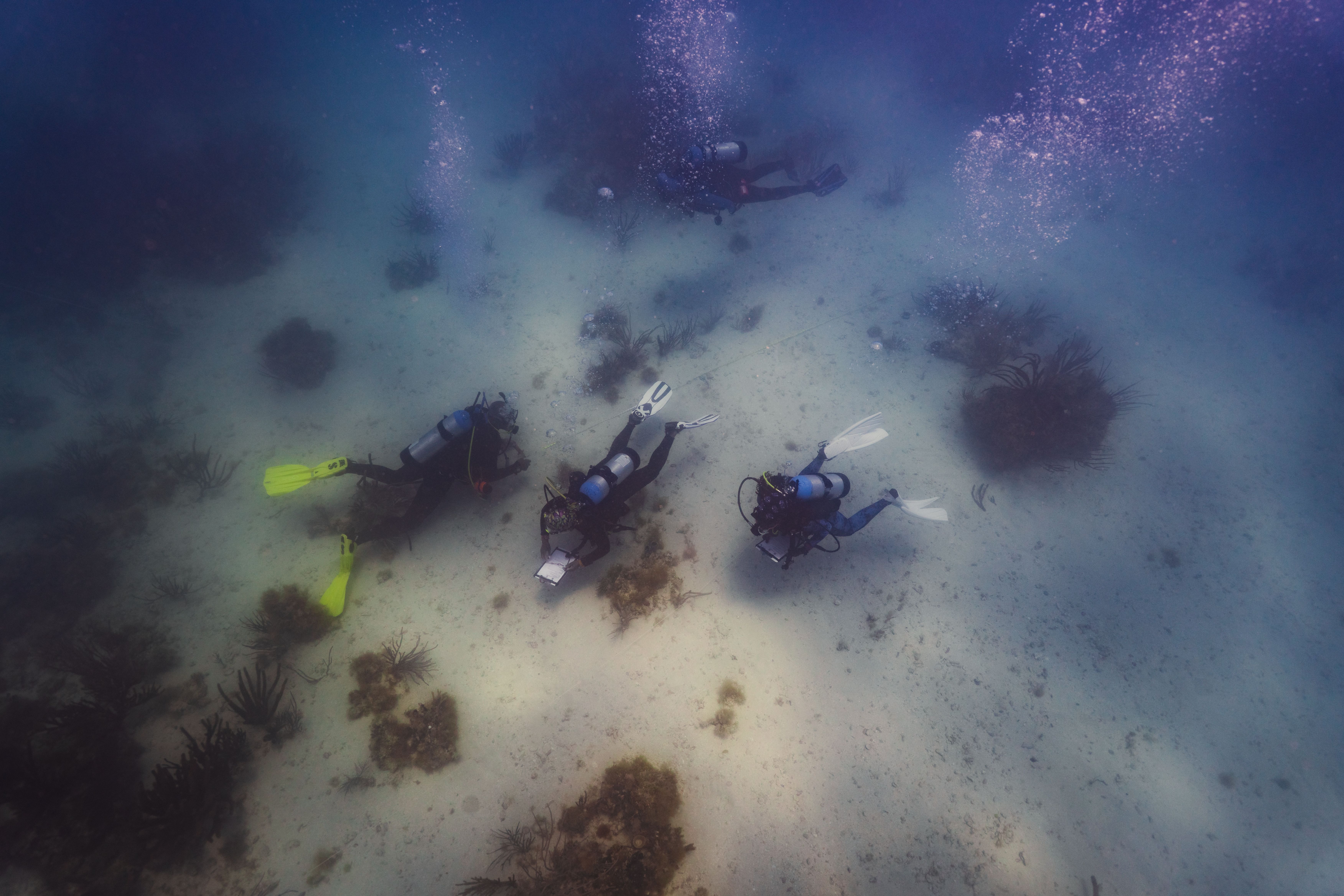 Underwater memorial to wrecked slave ship draws pilgrims seeking