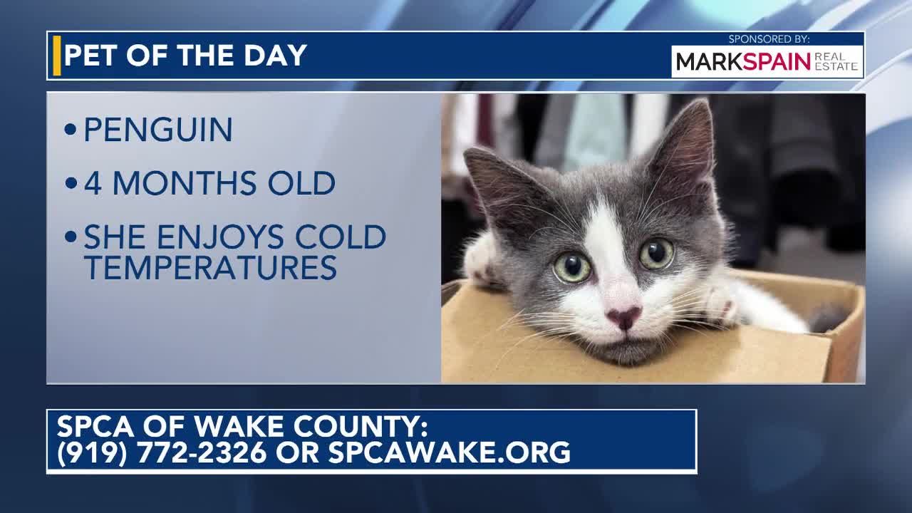 Pet of the Day for September 10, 2026