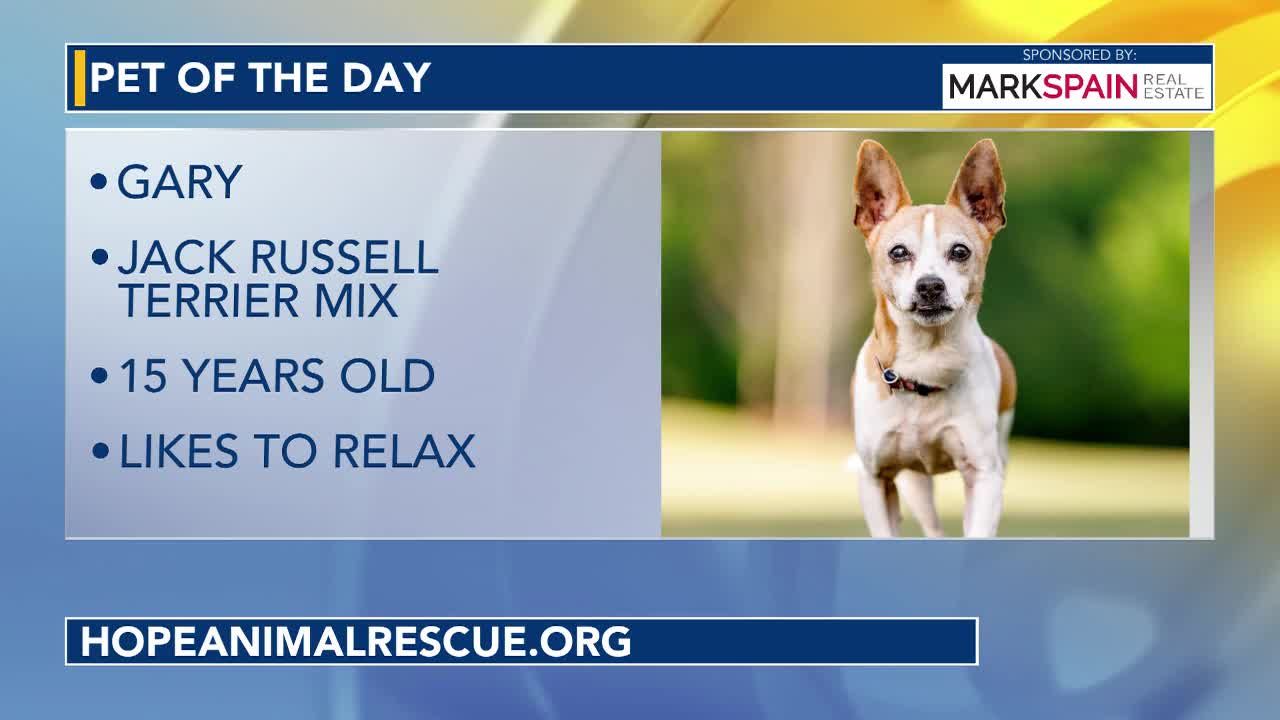 Pet of the day, July 16, 2026