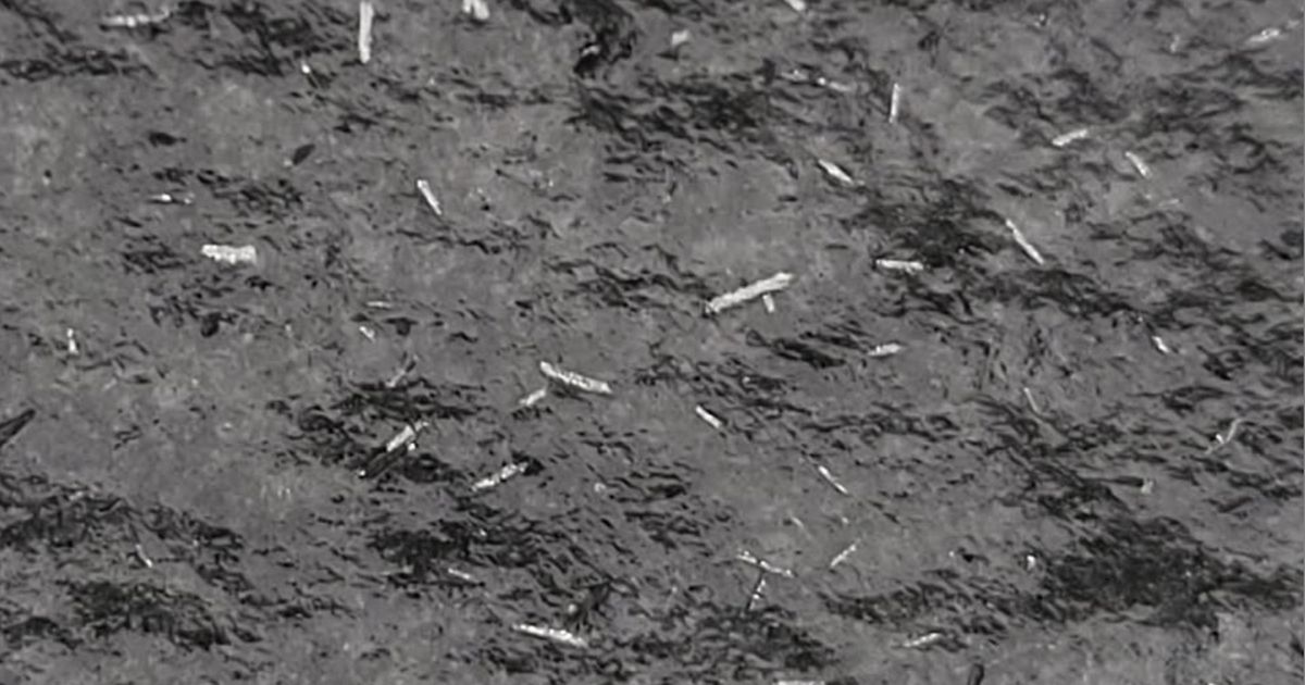 Ask the Meteorologist: How did Saturday's snow differ from a typical North Carolina snow?