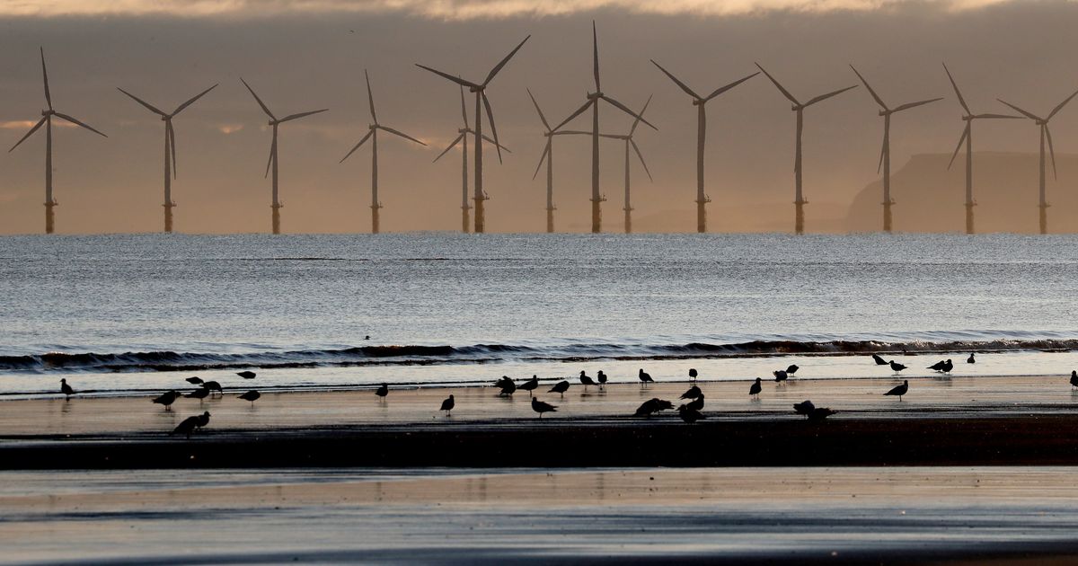The UK government has set a target of an 87% cut in carbon emissions by 2042