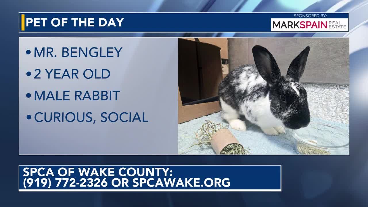 Pet of the Day: October 9, 2026