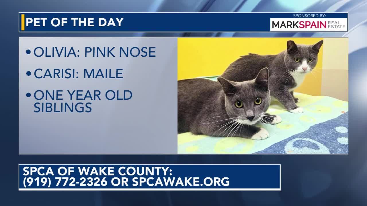 Pet of the Day for September 24, 2026