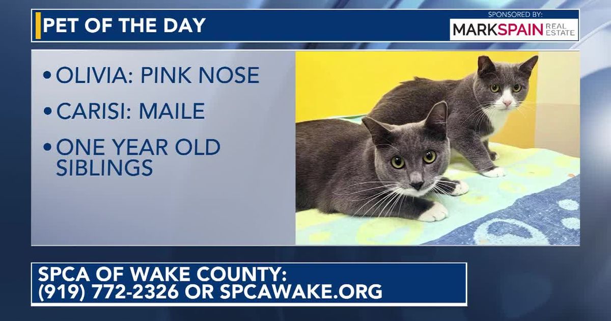 Pet of the Day for September 24, 2026