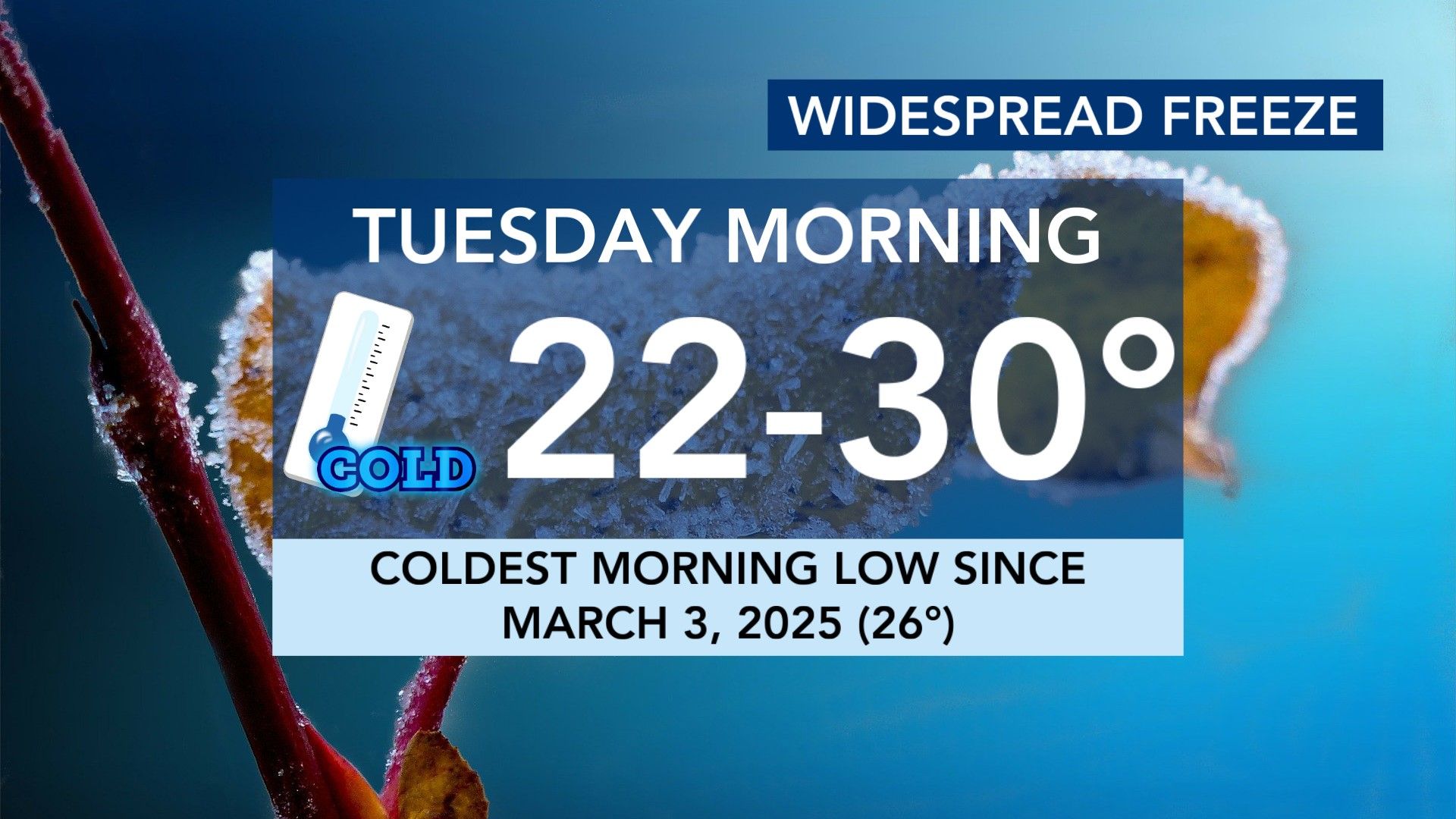 Arctic blast hits: Freeze Warning and possible flurries for the ...