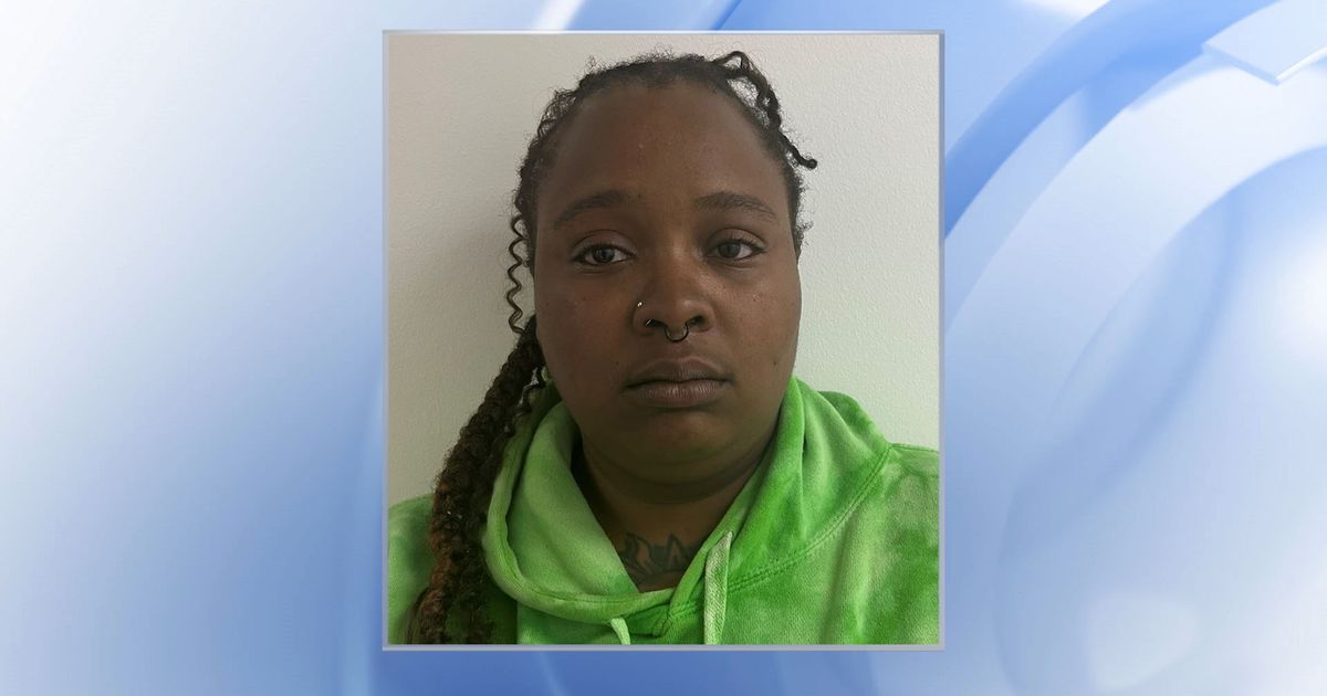 Woman charged with first-degree murder after stabbing at Vance County ...