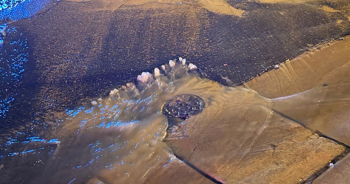 Crews work to repair Durham water main break on Roxboro Street