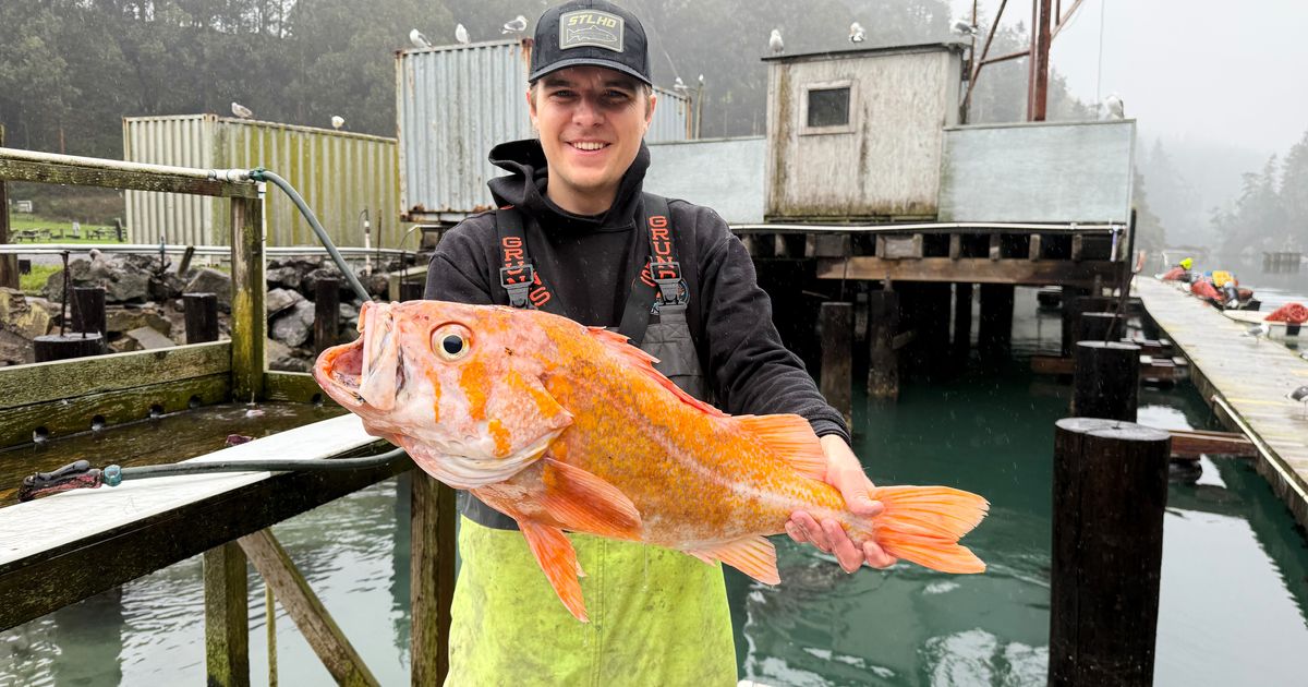 A California fisherman may have broken records by catching a 10.25-pound canary rockfish