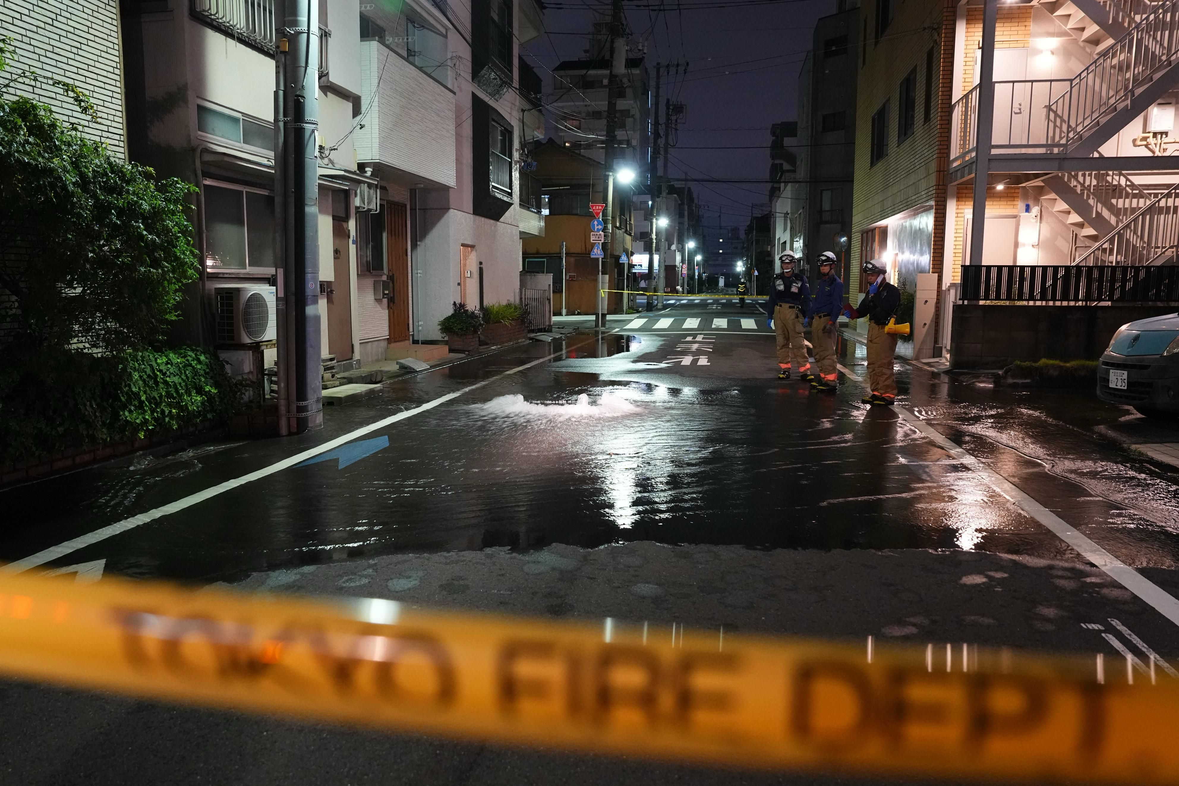 A moderate earthquake shakes Japan , injuring more than 30 people in the Tokyo region