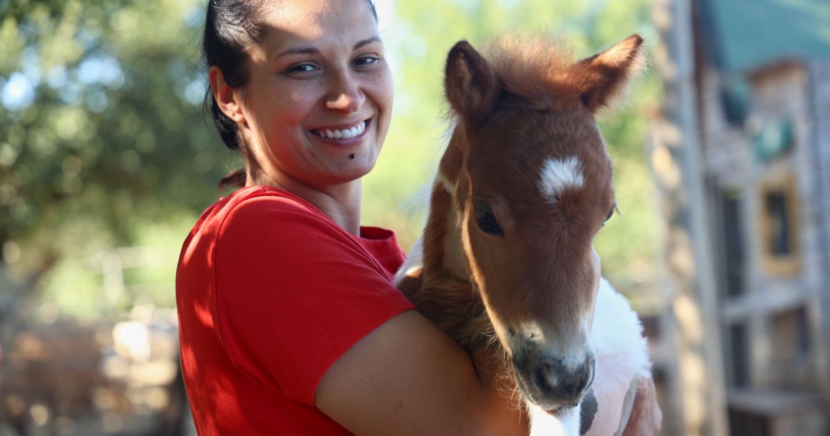 A month-old pony moves to a 4th-floor apartment in Croatia. Neighbors don't mind