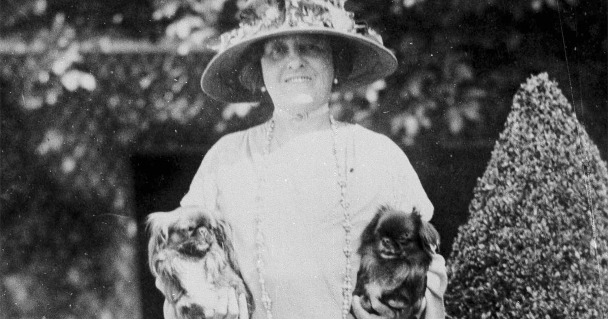 A rare Edith Wharton story is unearthed about the gap between everyday life and the horrors of WWI