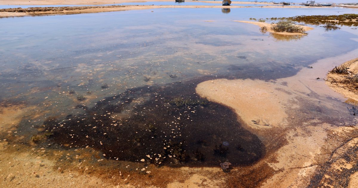 Dark oil residue collects in shallow coastal waters on Qeshm Island, Iran, Thursday, Aug. 13, 2026, amid ongoing wartime