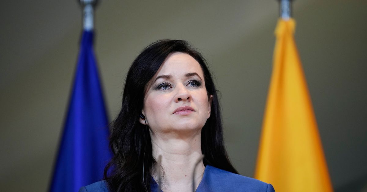 Lithuania suspects foreign involvement in data leak of over 600,000 national register entries