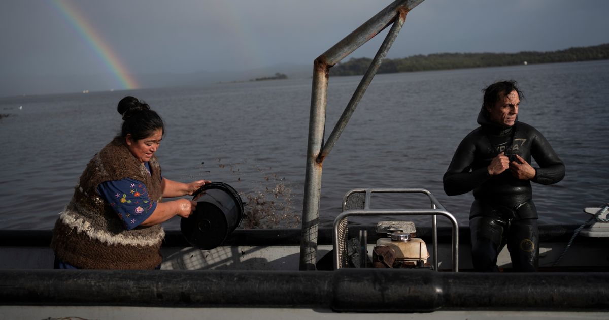 Southern Chile, locals push to protect oceans that have been hurt by intensive salmon farming