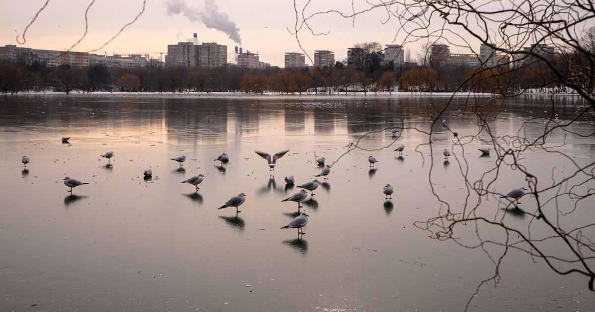 Freezing rain and ice disrupt travel across central and eastern Europe