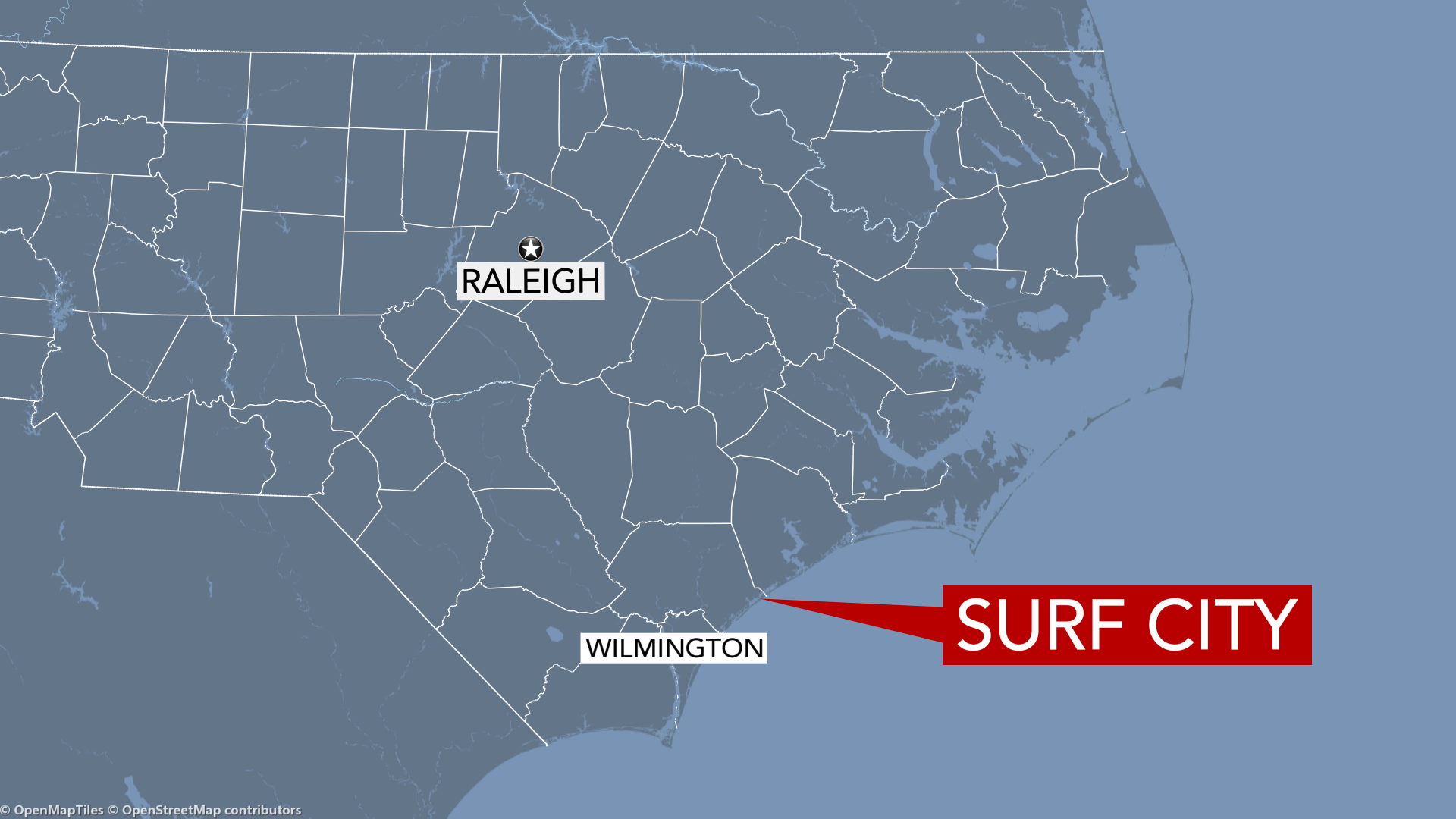 Fleas close part of NC beach