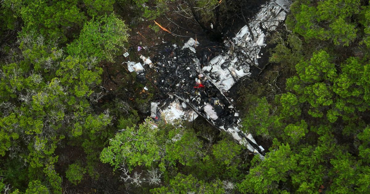 Pickleball players killed in Texas plane crash included a school tennis star, trauma counselor