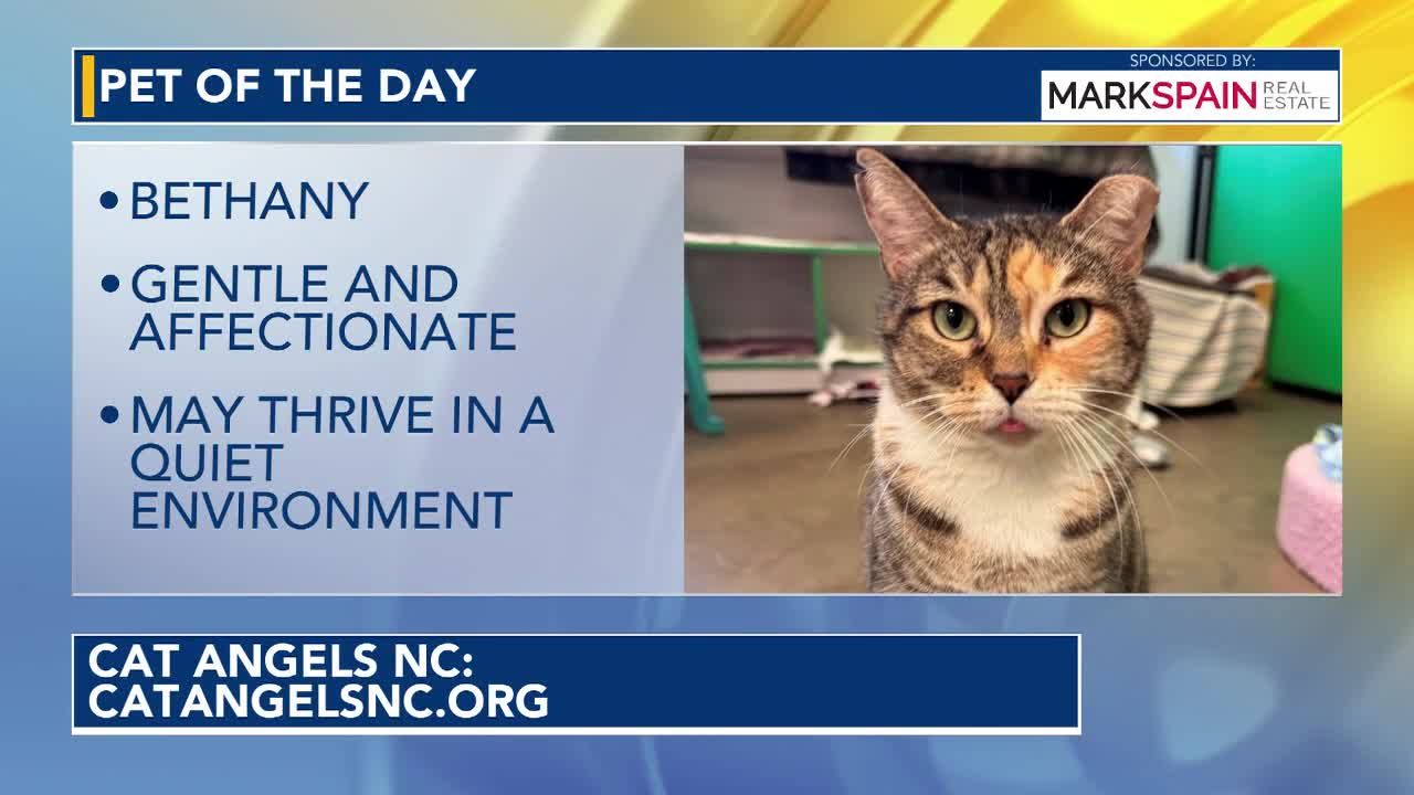 Pet of the day: September 16, 2026