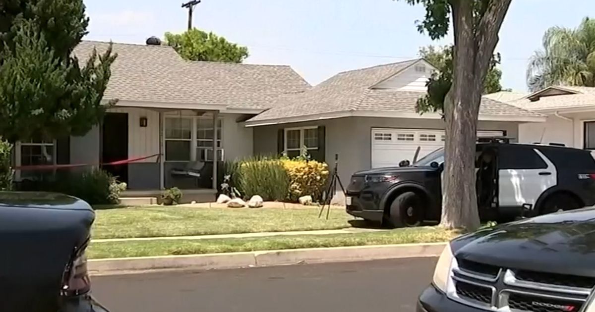 After actor James Handy's stabbing death, his girlfriend's son is charged with murder