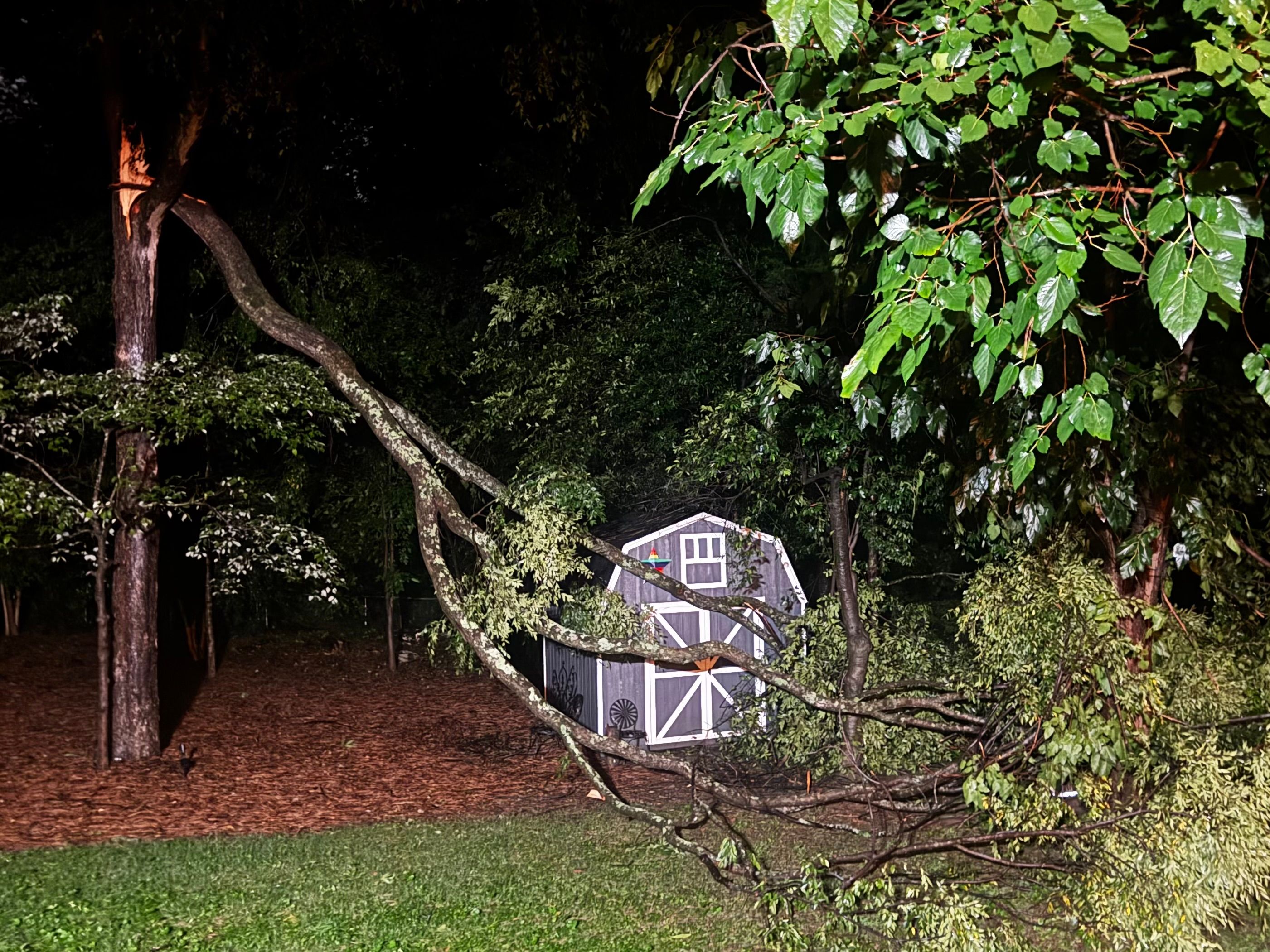 Man killed when tree falls on Wake County home during strong storms
