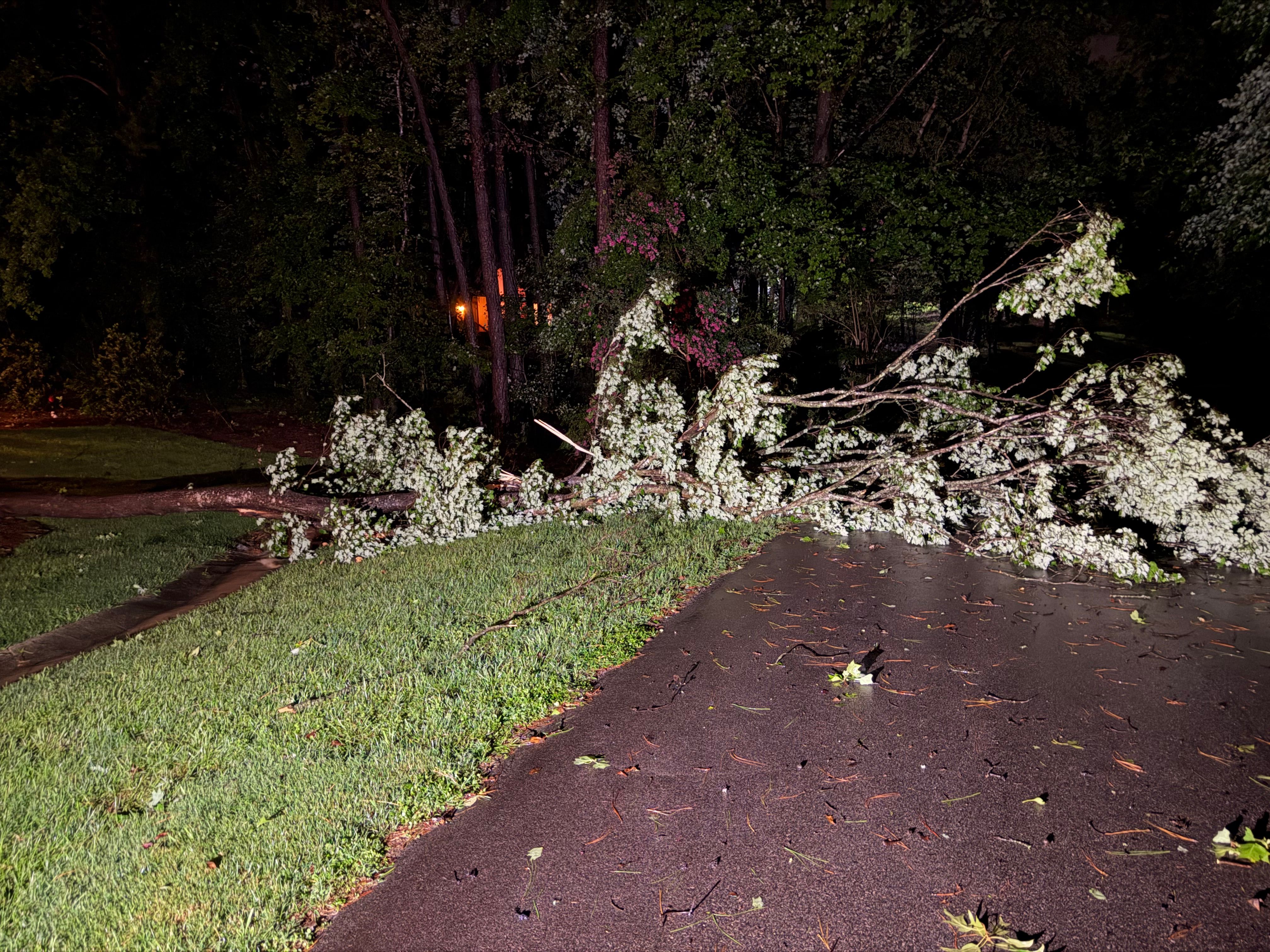 Man killed when tree falls on Wake County home during strong storms