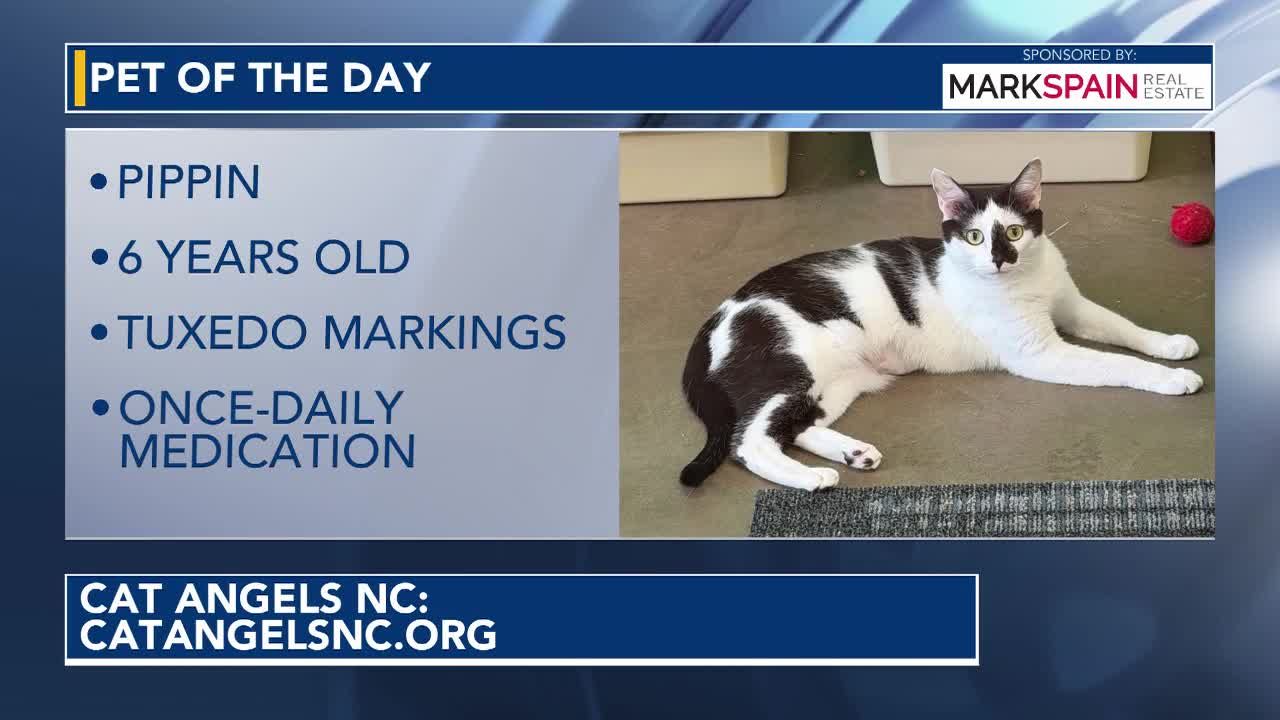 Pet of the day: October 7, 2026