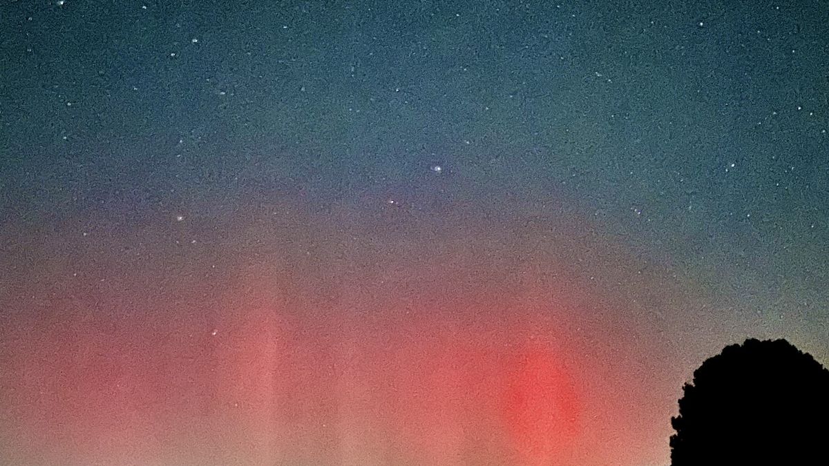 A vibrant display of the northern lights, with hues of green and purple lighting up the night sky.