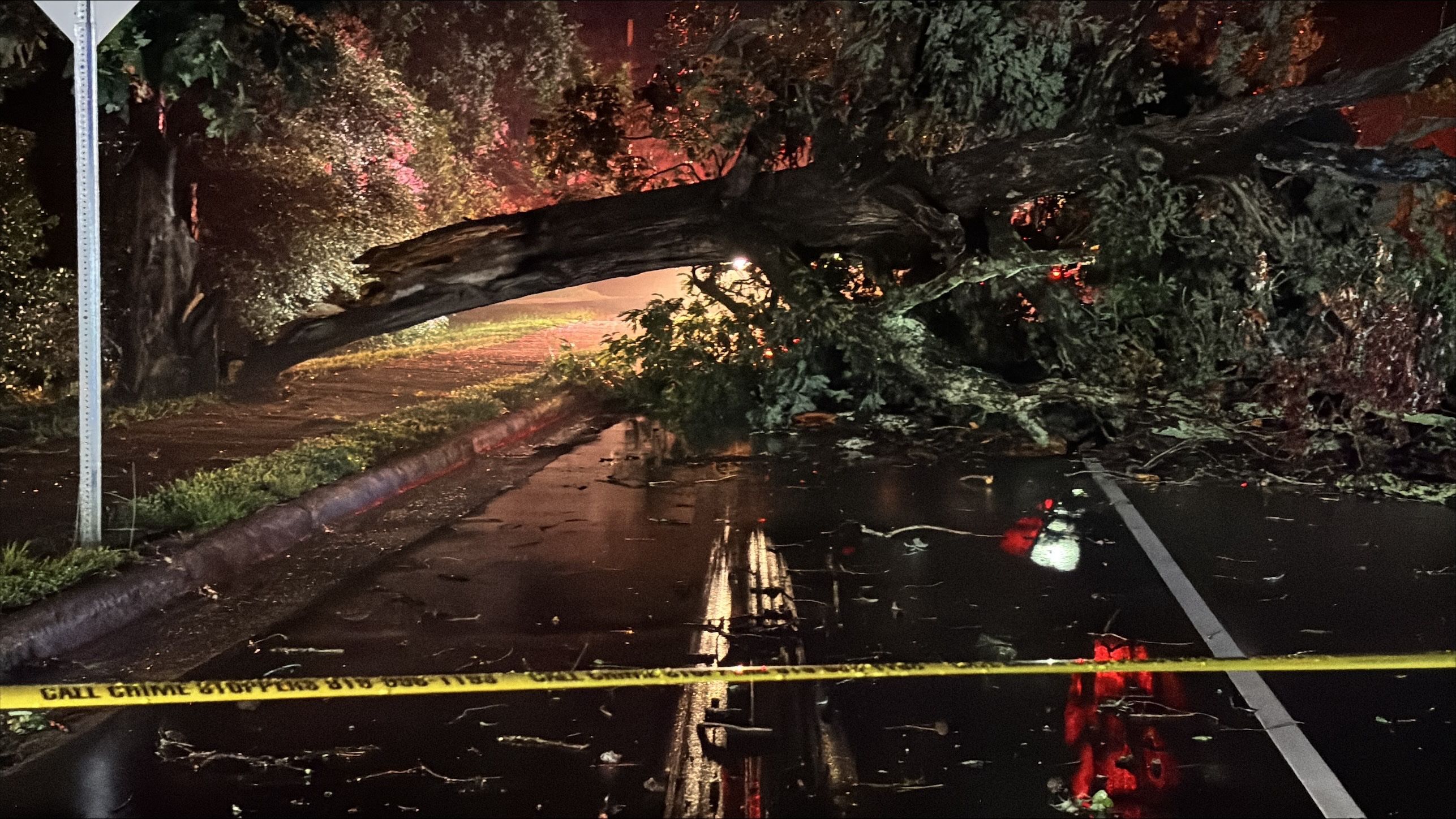 Man killed when tree falls on Wake County home during strong storms