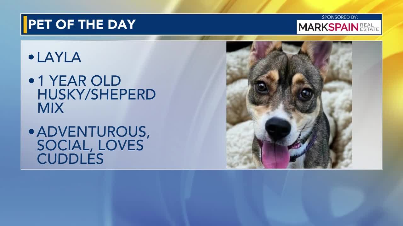 Pet of the Day: Oct. 11, 2026