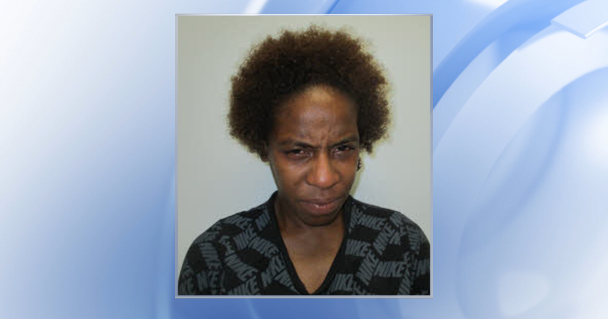 Raleigh mom charged in 2024 apartment fire that killed her two children ...