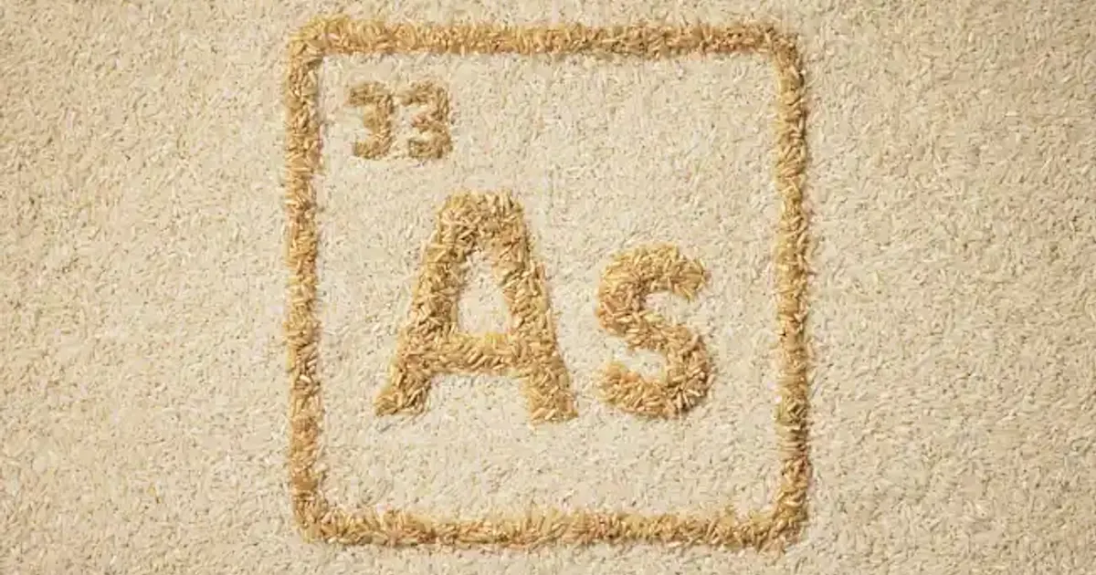 Consumer Reports investigation finds arsenic levels in everyday rice ...