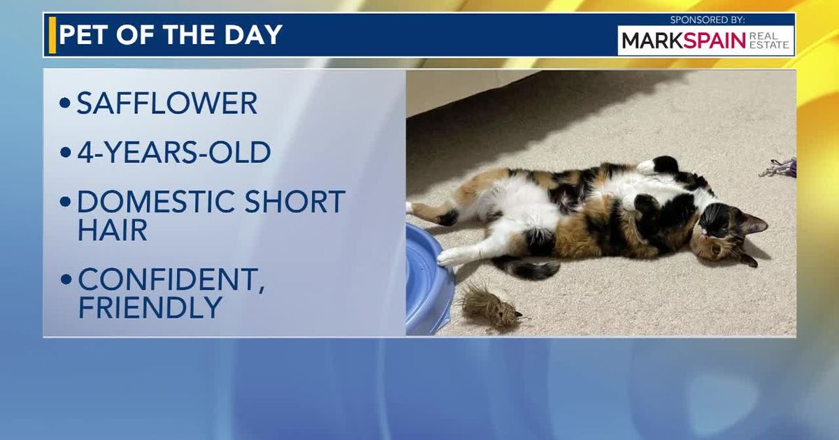Pet of the Day for Oct. 24, 2026
