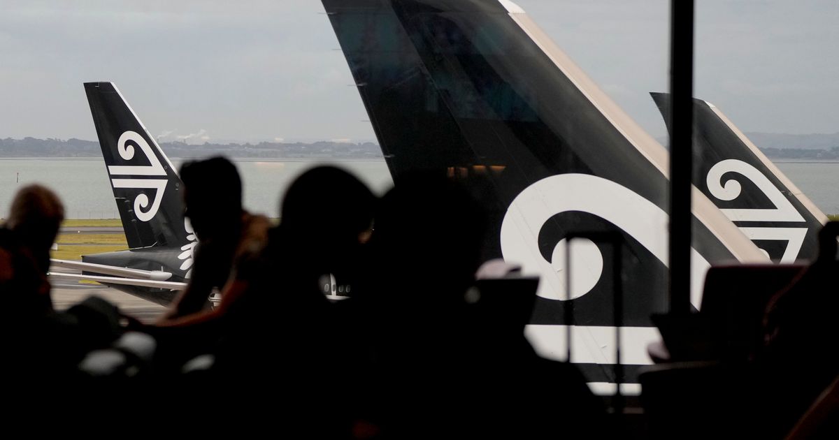 Airline adding bunk beds for economy travelers but bans snacks, smells and cuddling