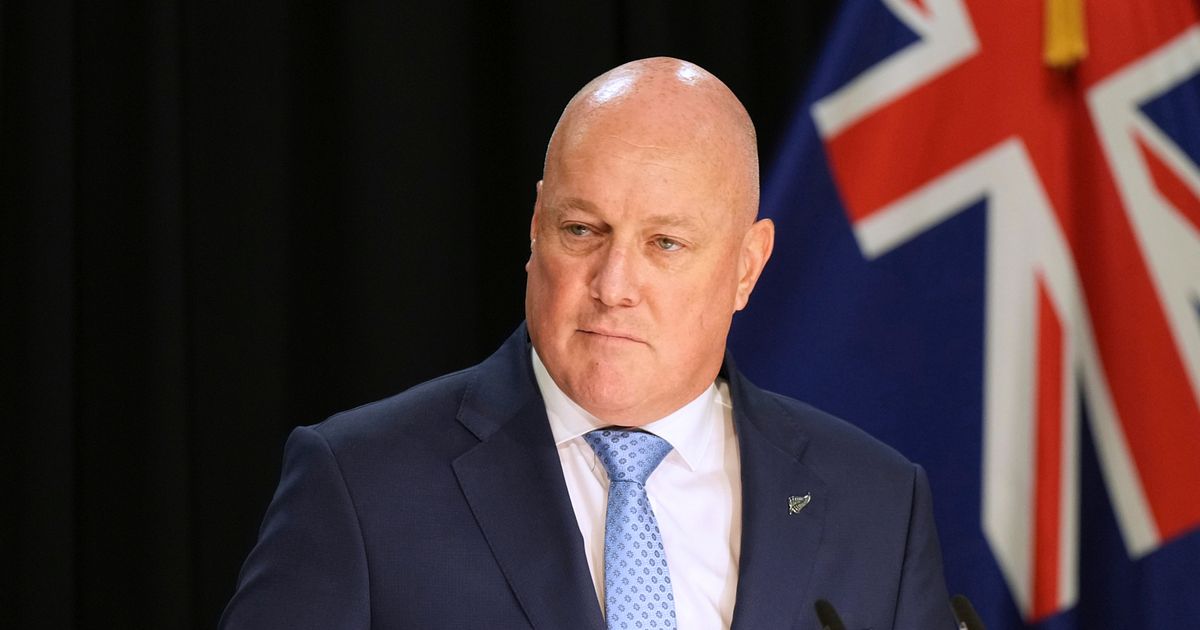 New Zealand Prime Minister Luxon survives party leadership vote months before election