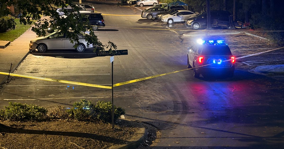 Assault News Image