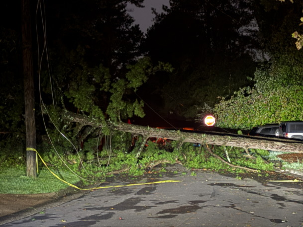 Tree down across East Millbrook Road in Wake County