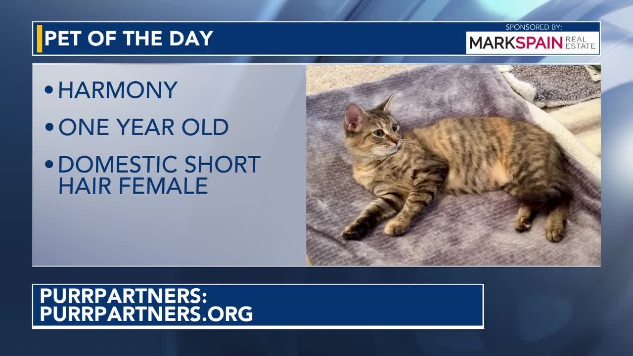Pet of the day: October 5, 2026