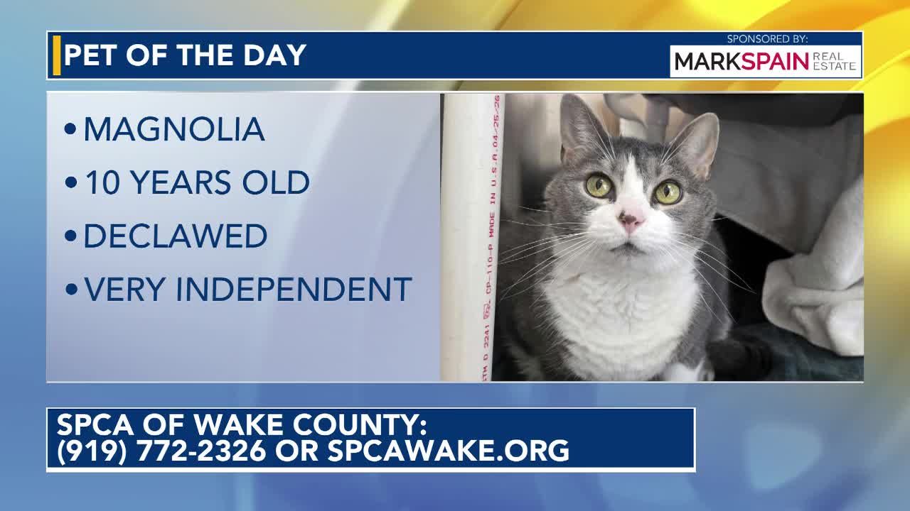 Pet of the Day October 1, 2026