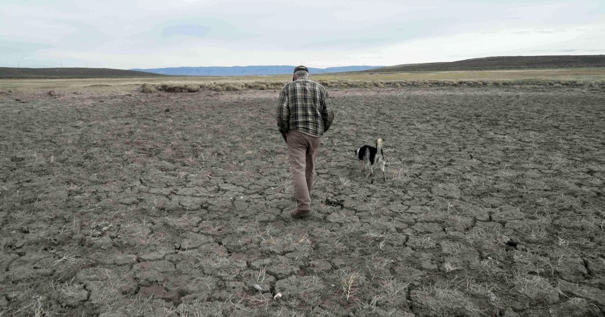 Record US drought sparks worries about fires, water supply and food prices