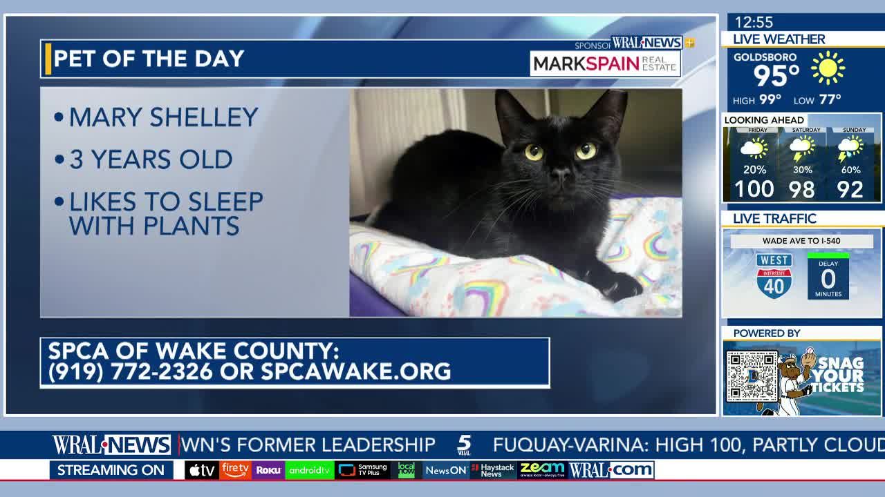 Pet of the Day: July 17, 2026